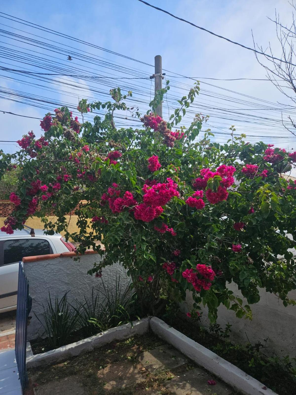 Casa de Temporada em Figueira - Arraial do Cabo - Casa 5 Exterior foto